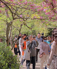 ̫����ͷ��� Ը�������ö����ڶ���