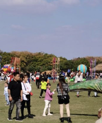 4��10�ռ��˺�������������� �����Լ�̤������