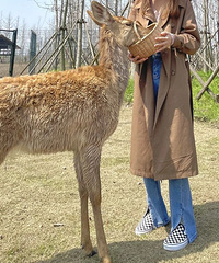 �½���������̬԰������������