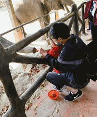 ���޼ǣ������Ϻ�Ұ������԰һ����