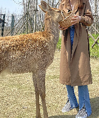 �����½���������̬԰����������������ԤԼ����