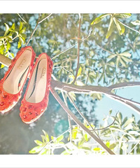 �Լ���Ƭ�ӹ��Ļ�Ь ��������� һ�����Ѿ��ǵ���ǰ��