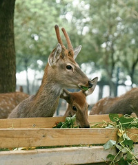 ¥̽47ڡժι¹۹⡢...˸̬ũ