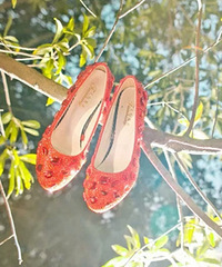 �Լ���Ƭ�ӹ��Ļ�Ь �о���������