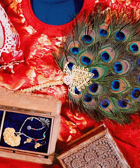 �������Ŀ�ȸë���� ϲƷ��������ɫ