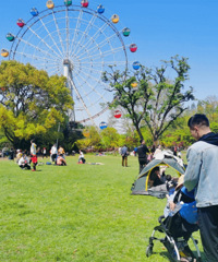 ����ȥ��һ���Ϻ�����԰ �ؼ���ƱֻҪ40��