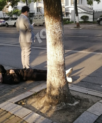 �ȶ�Ƭ���������绹���ھ���·�ϡ�