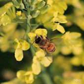 ��Ӱ��ͷ��