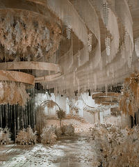 С�ܼҴ���ȥ���������� �����Ʒ�ʻ��� ���������޵ľ�ϲ��