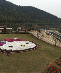 Hello Kitty������԰һ���� ԰�����Ĳ���