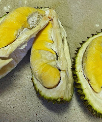 һ��С����һ���������ֶ��èɽ��������