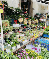 ��һ������ǿ���ԣ��ö�ط�����Ʊ