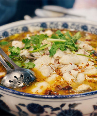 ����һ�ұ���������--��˫��̥����㡱