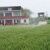 �����˻���ũҩ