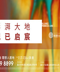 ����|��ơ������������������巣�