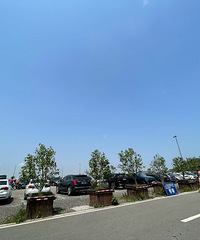 �����˸���æ�Ķ���