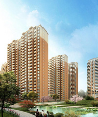 ����Ȧ�н�ȫ�ǽ��ۼ�©