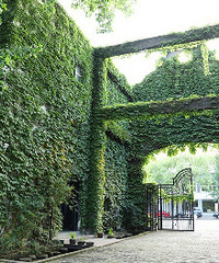 ��դ������������ ÿ��·�������ú�����