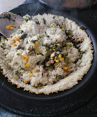 ���µ�Ұ�׷����տ�������