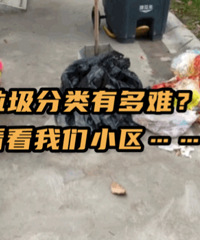 ����С�������������̫���˰ɡ�