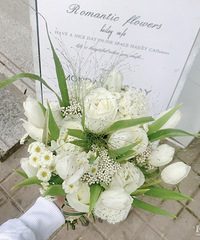 ������������̫�ÿ��� ��ȥ�����·�� �������� �ʻ�����