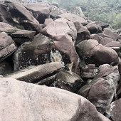 ɽ��ľ�ɫ����