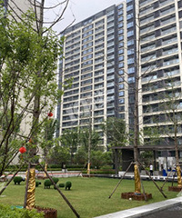 ׿Խ�縮���ؿ����� ֱ��ֲ��԰ ��Ұ�޵�