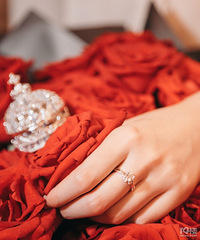 ��������������������Ƕ���ӵ�����κ�