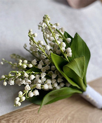 ���ﶼ��Ҫ����������Ҫ1600Ԫ�����۸�Ȱ��