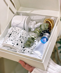 ins��Լ�߼�������� �ɸɾ��� ��Լ�ִ���