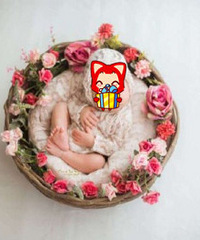 ��ѵ���������������Ƭ ����·��