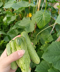 离开以后是变更好还是变糟 客气也许才算是最远的距离吧