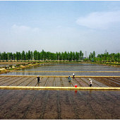 ������岥��ʱ��