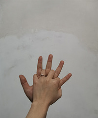 �������������ģ���һ���������գ�