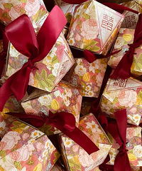 ���������Լ���װ��ϲ�� �������ѵ��Ǻ�Ư�� ��������