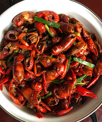 �Լ���ϴ�ĸɾ� �����ʮ������Ϻ�ҳ�¯��