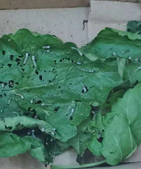 С���ѵ�������ҵ �����嶯��ļҳ���ʹ��