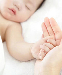 ������Ը����ԭ�򣺾��ø�����ռ75.1%