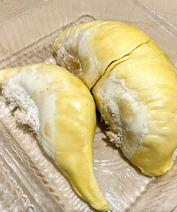 ���������ĸ��������������������ô����