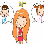 靠肚形看生男/女准吗