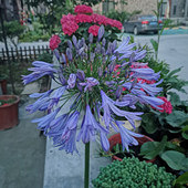 ͬһʱ���ĵĻ���