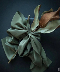 �ﶬ��ǿ�Ұ�����Ⱦ˿�� ���������Կ�˿��ʵ��̫����