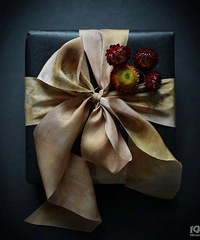 �ﶬ��ǿ�Ұ�����Ⱦ˿�� ���������Կ�˿��ʵ��̫����