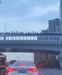 �ܼ��־�֢�����룡��������һ�ţ�