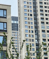 ������Ƥ���������⣡�����Ƽ�������Ҳ�޿ɱ���