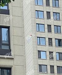 ������Ƥ���������⣡�����Ƽ�������Ҳ�޿ɱ���