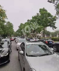 ���ĵ��˼θ��ſ�����³�ʢ����