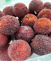 үү���̸����ӳ�ˮ�� ��Ȼ������ҧ����