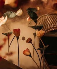 С�ܼ�̽�����Tina����ɻ��� ���ڼ���д��¥��ı��ػ���