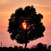 ���������Ϧ��